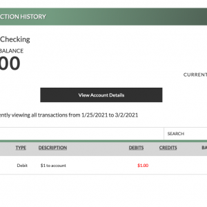 Screen Shot 2021-02-25 at 2.12.43 PM